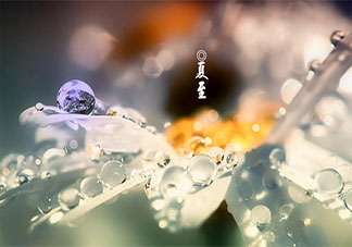 2020夏至到了的朋友圈個性文案句子 2020夏至節氣發朋友圈祝福語文案