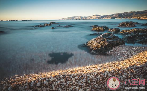 2020這半年你是怎么過的 2020年的上半年感想有哪些