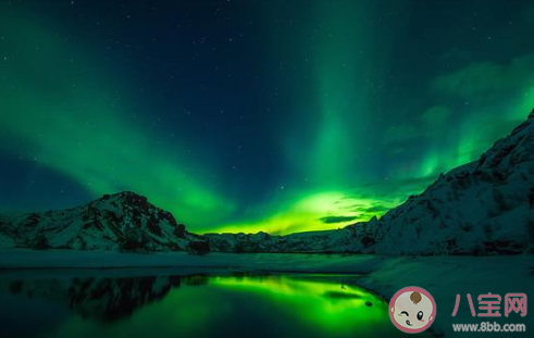 2020這半年你是怎么過的 2020年的上半年感想有哪些