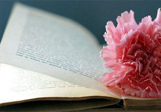 2020這半年你是怎么過的 2020年的上半年感想有哪些