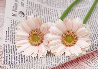 2020網易云元氣滿滿的唯美說說短句 元氣滿滿的網易云熱評文案大全