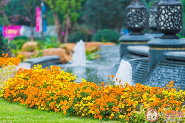 你就像春天的風(fēng)夏天的雨讓我如此著迷是什么歌 《四季如你》歌詞在線聽(tīng)歌