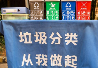 武漢垃圾分類罰款多少錢 武漢垃圾分類標準是什么