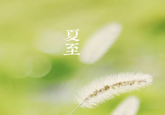 夏至節(jié)氣吃什么食物養(yǎng)胃 夏至飲食養(yǎng)生要點(diǎn)2020