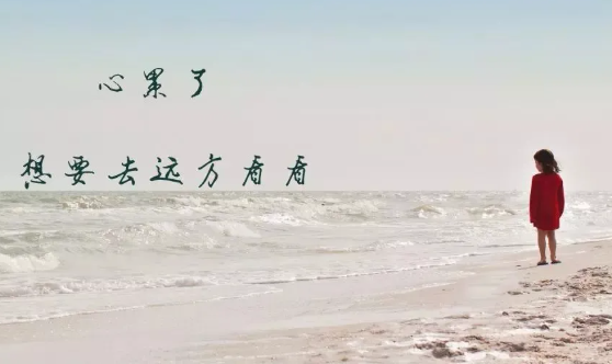 抖音五只貓搖頭表情包動圖 五只貓點頭表情包怎么發