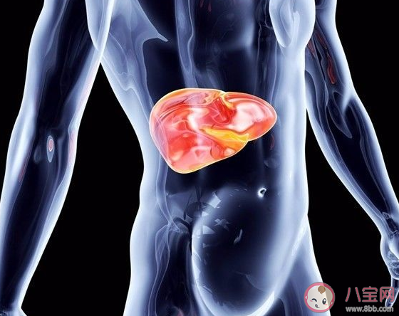 養肝護肝喝什么茶最好 養肝護肝的飲食方法有哪些 養肝護肝喝什么茶最好 養肝護肝的飲食方法有哪些