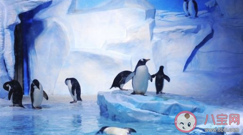 2020端午湖北能去哪里玩 端午湖北旅游景點推薦