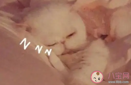 有哪些應該堅持的好習慣 應該長久堅持的習慣