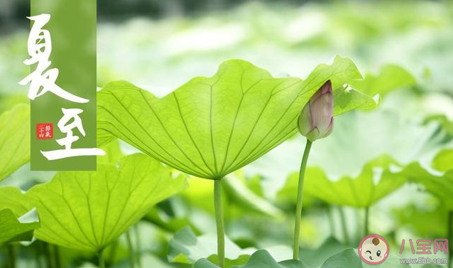 夏至過后忌諱做什么事情 夏至過后6大忌諱