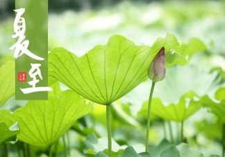 夏至過(guò)后忌諱做什么事情 夏至過(guò)后6大忌諱