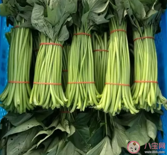 紅薯翻藤有什么要求和注意事項 紅薯的藤有毒嗎