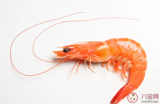 優質蛋白質食物排行榜 吃什么食物補充優質蛋白質 優質蛋白質食物排行榜 吃什么食物補充優質蛋白質