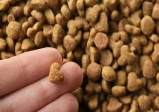 自制狗糧好還是買的狗糧好 自己怎么做狗糧