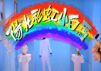抖音內個內個內個內是什么歌 《陽光彩虹小白馬》完整歌詞相關介紹