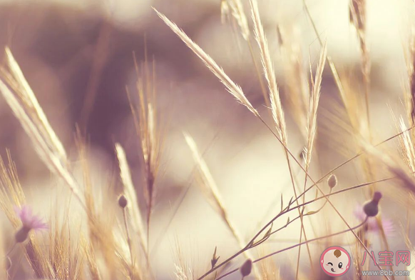 2020六月再見七月你好朋友圈唯美句子 六月再見七月你好無水印圖片