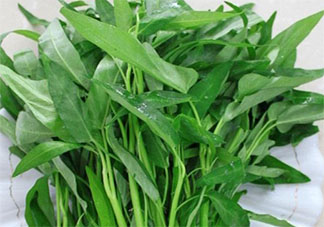 2020小暑節氣吃什么蔬菜養生 2020小暑節氣時令蔬菜盤點