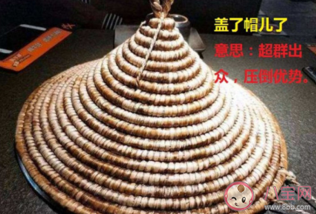 蓋了帽了我的老baby是什么意思 蓋了帽了我的老baby梗的出處是什么