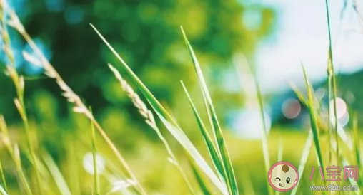 2020突然下暴雨的朋友圈說說 下暴雨的說說句子