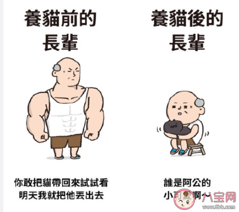 養貓前后的長輩有什么變化 長輩養貓前后有哪些改變