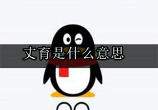 丈育是什么意思什么梗 丈育梗的出處是什么