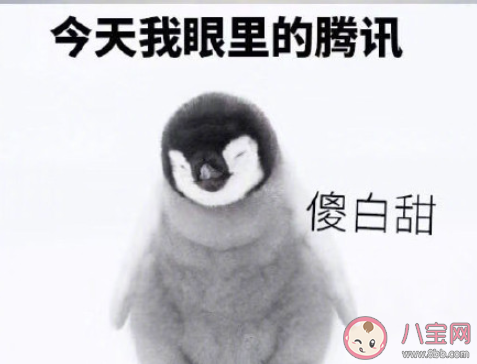 姜還是老干媽的辣是什么梗 姜還是老干媽的辣梗的出處是什么 姜還是老干媽的辣是什么梗 姜還是老干媽的辣梗的出處是什么