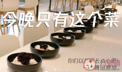 騰訊逗鵝冤事件是怎樣的 逗鵝冤事件的前因后果