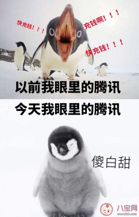 騰訊逗鵝冤是什么意思怎么回事 逗鵝冤梗出處來源是什么