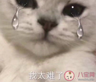 有被男生幫拎行李的經歷嗎 被幫忙拎行李什么感受