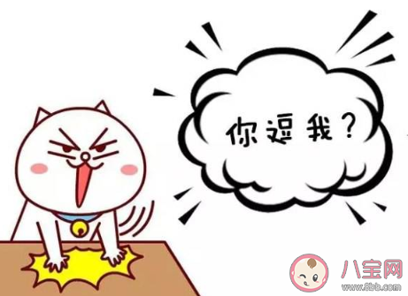 玩笑低保戶是什么梗 玩笑低保戶梗的出處是什么 玩笑低保戶是什么梗 玩笑低保戶梗的出處是什么