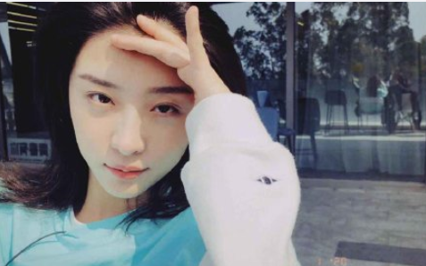 岳岳勇敢飛小棠永相隨什么梗 趙小棠追星岳云鵬是怎么回事