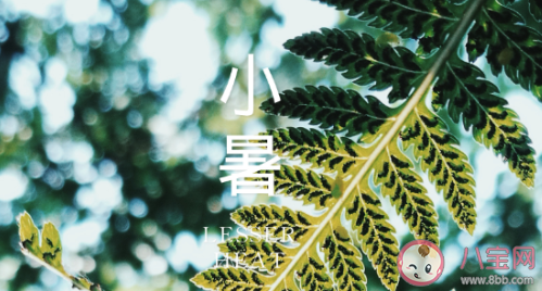 2020小暑節氣是哪一天 小暑幾時幾分幾秒