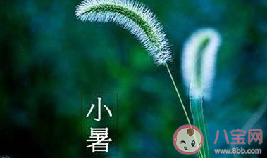 小暑節氣說說句子配圖 小暑節氣暖心文案