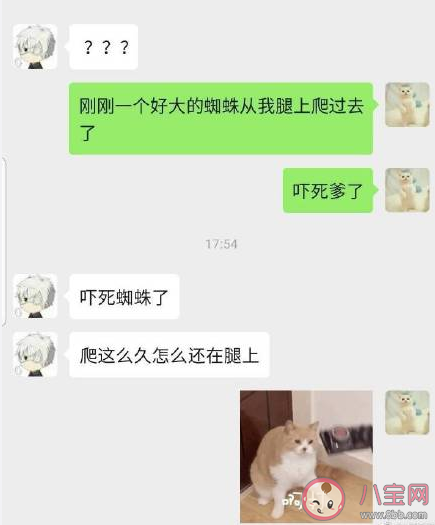 和直男聊天是怎樣的 直男說話藝術大賞 和直男聊天是怎樣的 直男說話藝術大賞