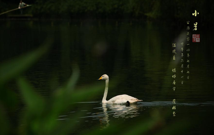 2020小暑節(jié)氣圖片朋友圈文案祝福語說說 2020小暑節(jié)氣祝福語唯美句子
