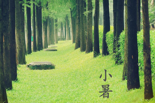 2020小暑節(jié)氣圖片朋友圈文案祝福語說說 2020小暑節(jié)氣祝福語唯美句子