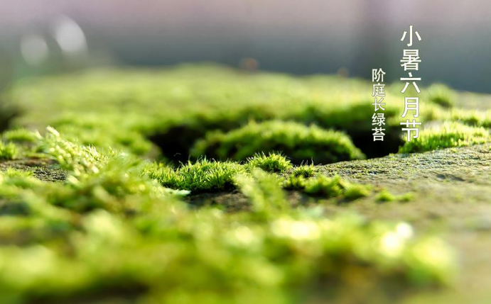 2020關(guān)于小暑的創(chuàng)意說說發(fā)朋友圈 2020小暑到了創(chuàng)意文案句子大全