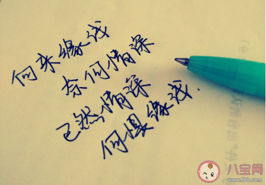 此情不俞奈何情深是什么梗 此情不俞奈何情深梗的出處是什么