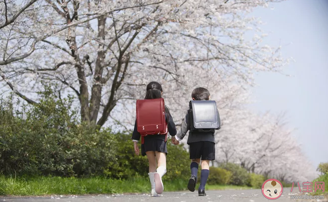 孩子晚一年上學就是吃虧了嗎 晚一年上學有什么好處