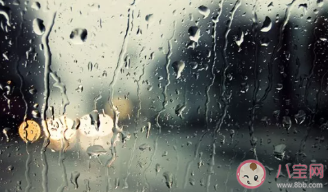下雨天早上好的句子大全 下雨天溫暖祝福語 下雨天早上好的句子大全 下雨天溫暖祝福語