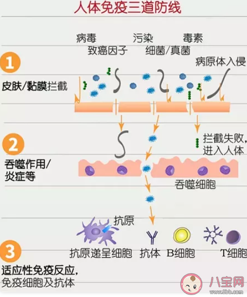 寶寶易生病奶粉怎么選擇 易生病寶寶奶粉選擇技巧