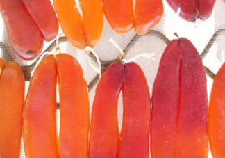 烏魚子什么意思什么梗 飯圈烏魚子是什么意思