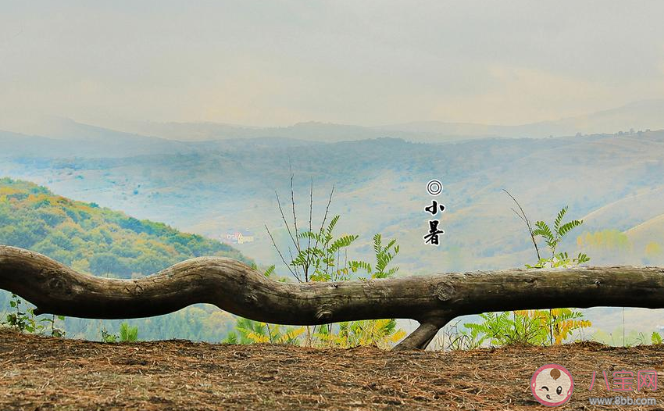 2020二十四節氣小暑發朋友圈暖心祝福語說說 2020二十四節氣小暑的朋友圈祝福語大全