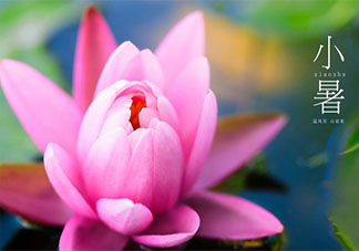 2020小暑節氣順口溜農諺有哪些 2020小暑節氣諺語順口溜大全