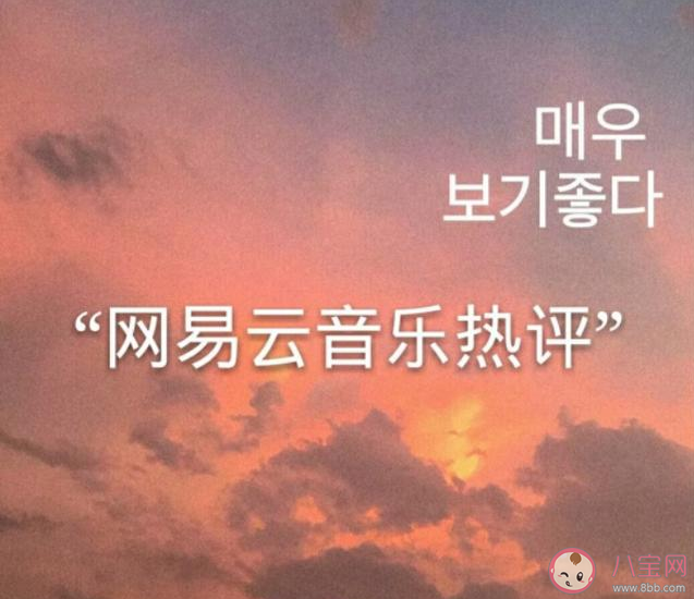 網易云音樂觸動內心的熱評合集 網易云熱門扎心評論句子