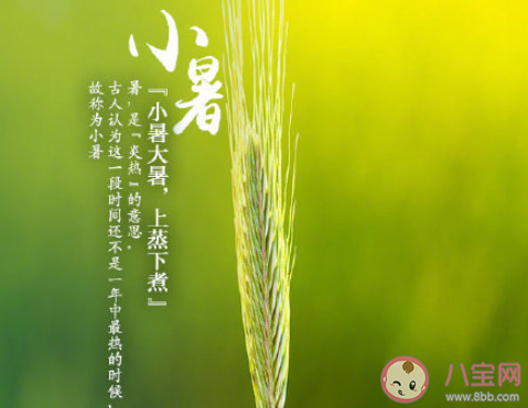 最新2020小暑節(jié)氣早安的說(shuō)說(shuō)文案 2020小暑節(jié)氣早安心語(yǔ)大全