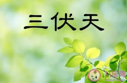 2020年三伏天有40天是真的嗎 三伏天開始和結束時間