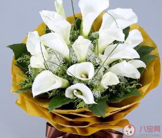 高考結束應該送什么花給孩子 孩子高考完了送什么花比較好