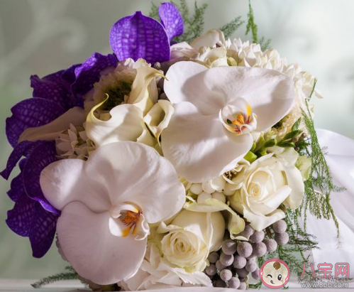 高考結束應該送什么花給孩子 孩子高考完了送什么花比較好