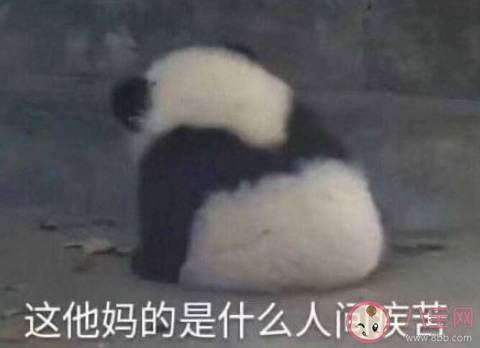 江蘇高考同聲相應同氣相求是什么意思 同聲相應同氣相求的出處是什么