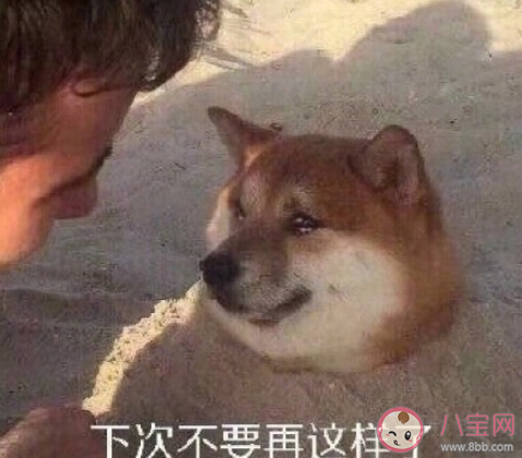 江蘇高考同聲相應同氣相求是什么意思 同聲相應同氣相求的出處是什么